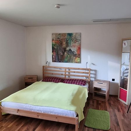 Ferienwohnung Am Hausberg In Radebeul Bagian luar foto