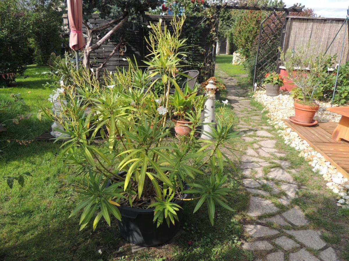 Ferienwohnung Am Hausberg In Radebeul Bagian luar foto