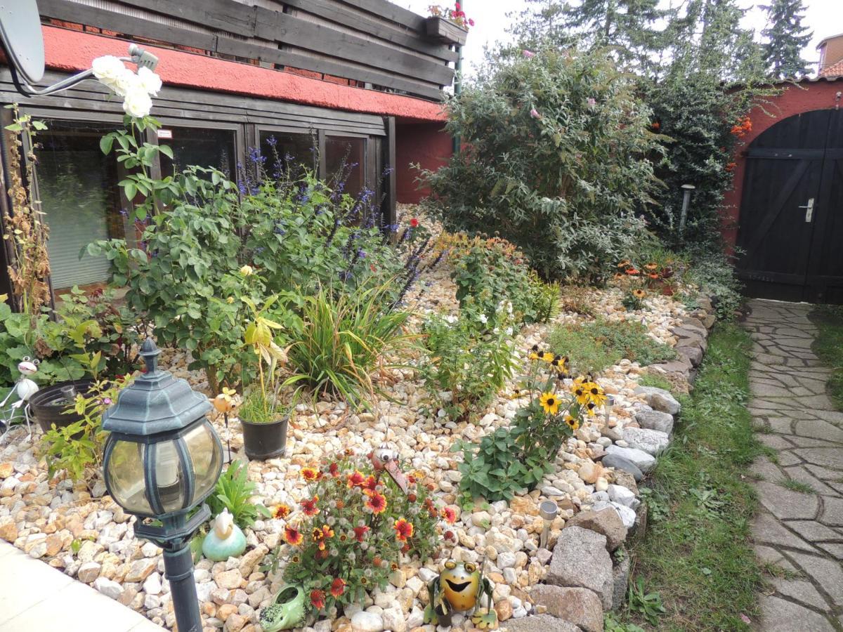 Ferienwohnung Am Hausberg In Radebeul Bagian luar foto